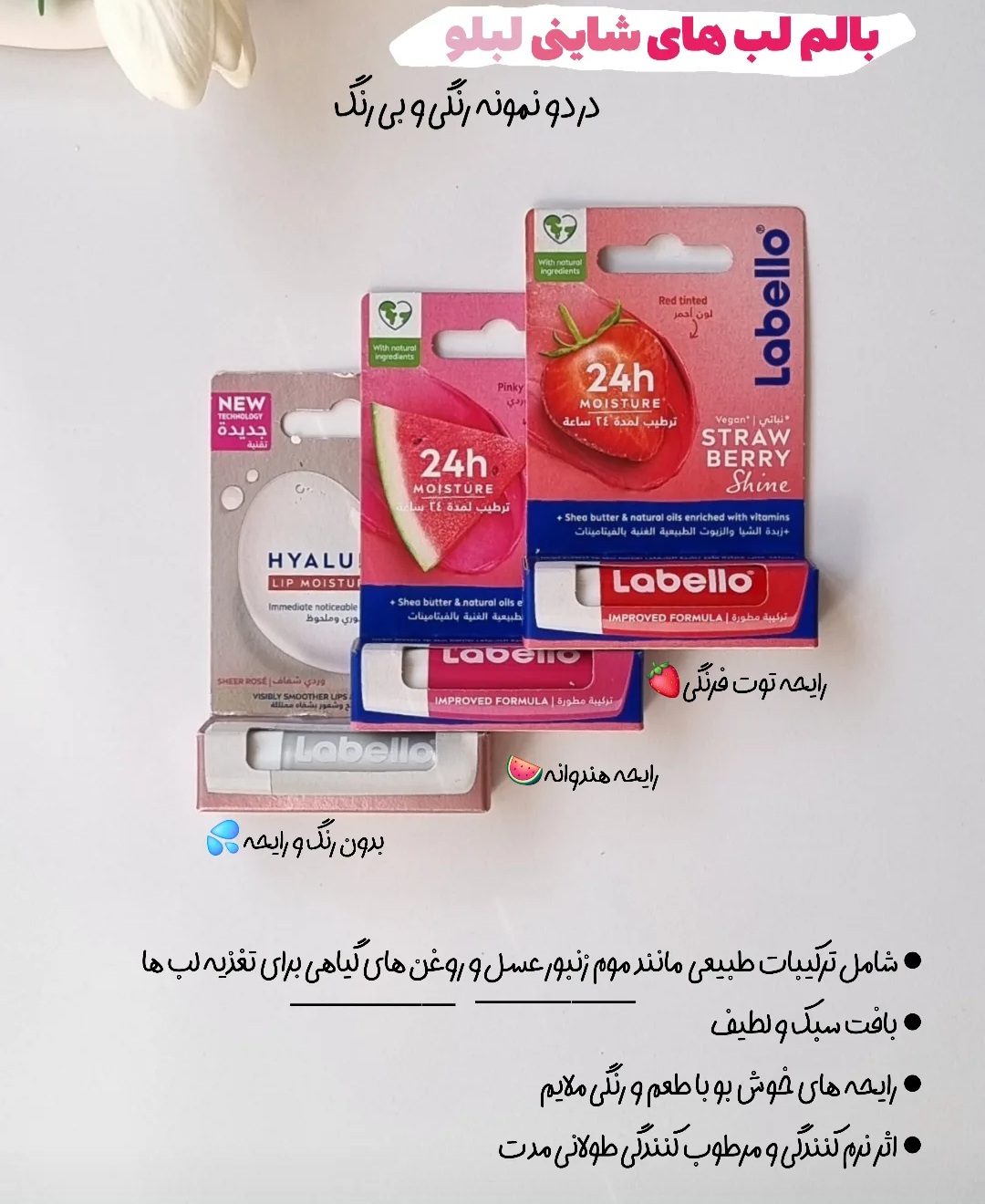 بالم لب لابلو اورجینال